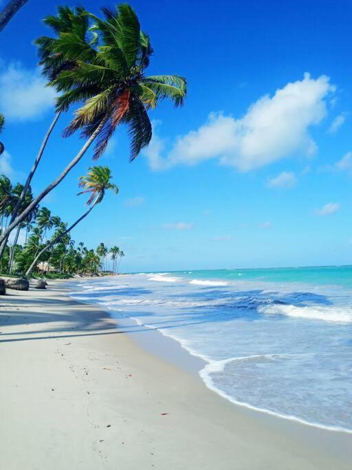 Apartamento Praia Dos Carneiros Tamandare Ngoại thất bức ảnh