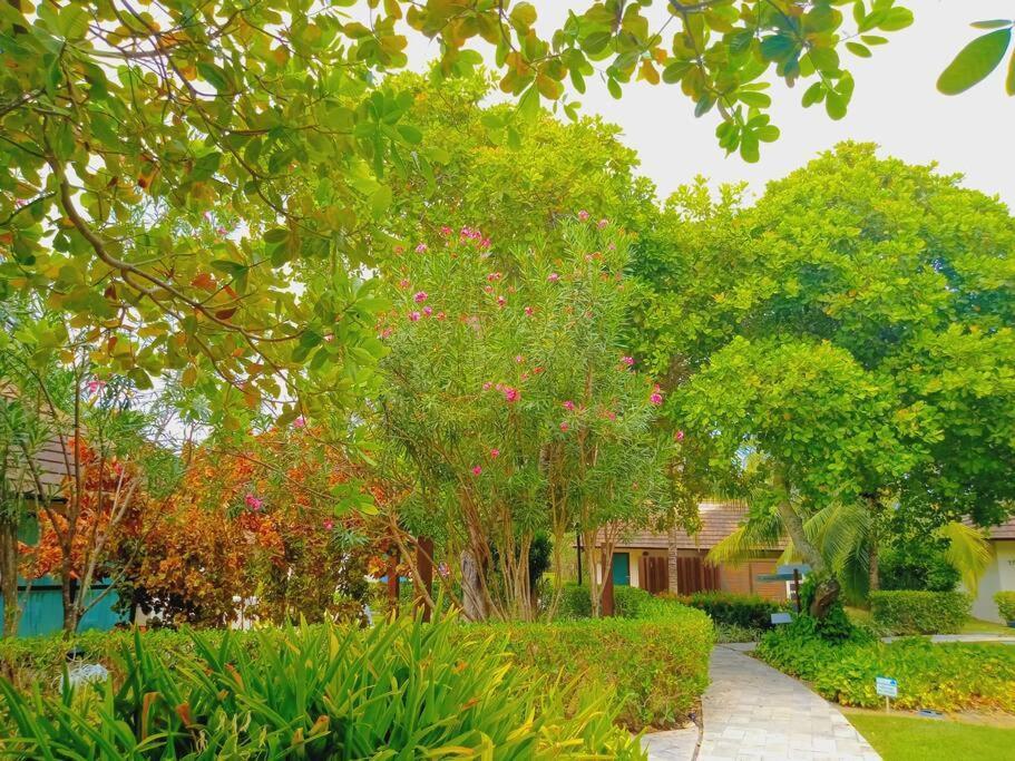 Apartamento Praia Dos Carneiros Tamandare Ngoại thất bức ảnh